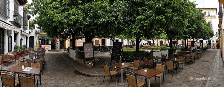 sevilla_plazadonaelvira