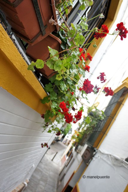 sevilla_santacruz_balconada