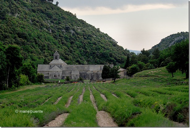 Abadia Notre-Dame de Sénanque. La Provence, França Abadia Notre-Dame de Sénanque. La Provence, França