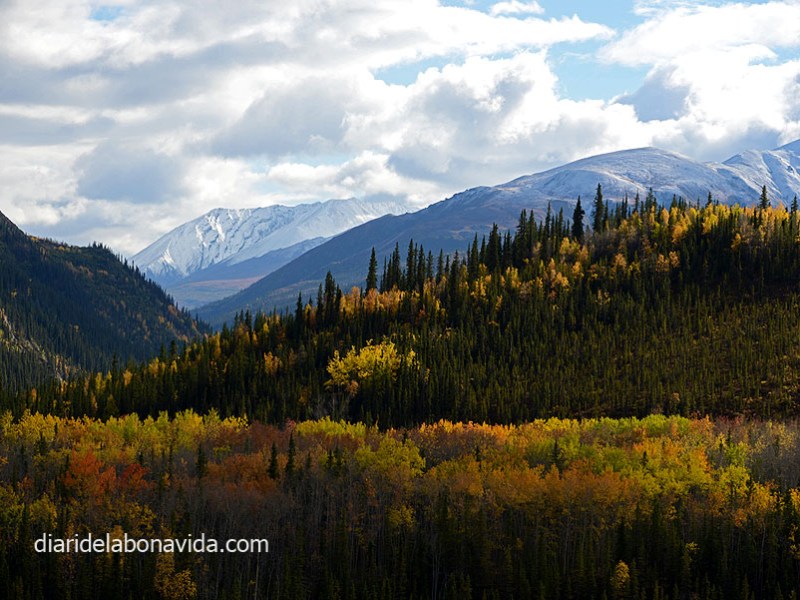 RUTA PER ALASKA – Dia 4 – CANVI DE&nbsp;PLANS