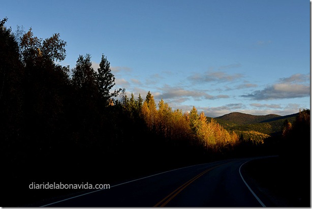 06_alaska_carretera_chena