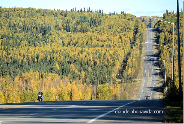 06_alaska_carretera