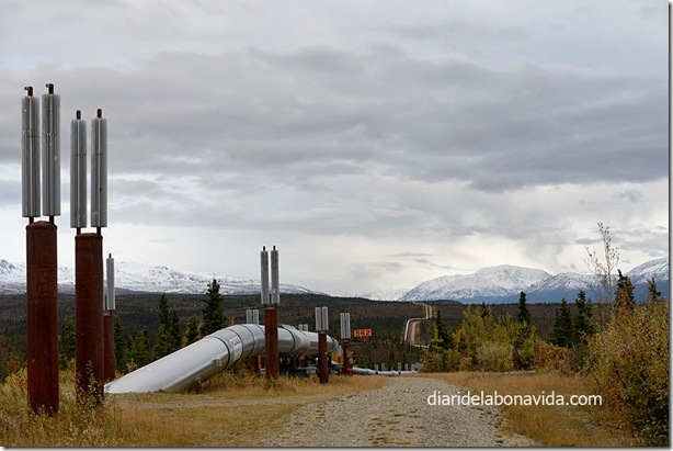 07_alaska_pipeline