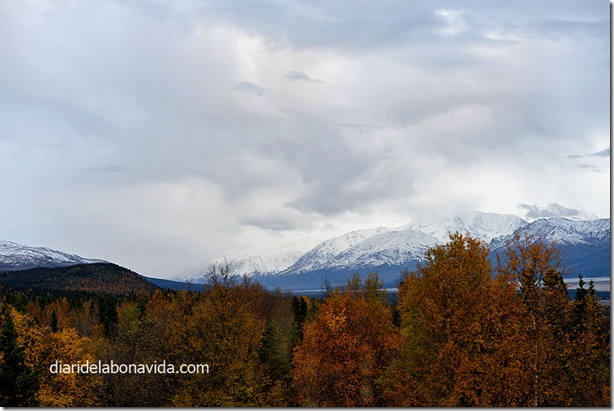 07_alaska_wrangell_bosc