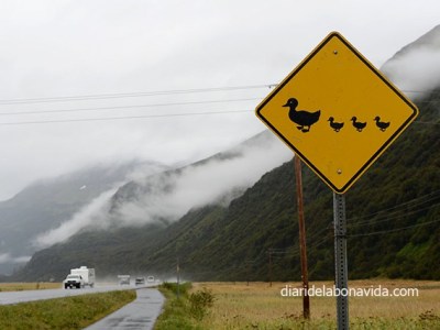 RUTA PER ALASKA – Dia 10 – Més de 1.000 milles recorregudes (i no ens&nbsp;cansem!)