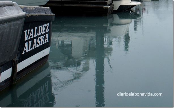 10_alaska_valdez_port_aigua                    