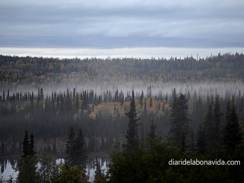 RUTA PER ALASKA – Dia 15 – Dia i&nbsp;si?…