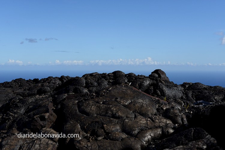 HAWAI_0196_DBV