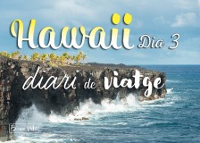 hawaii diari posts bv 03