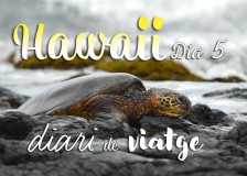 hawaii diari posts bv 05