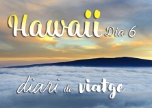 hawaii diari posts bv 06