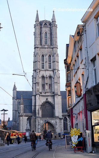 BELGICA_0478_DBV