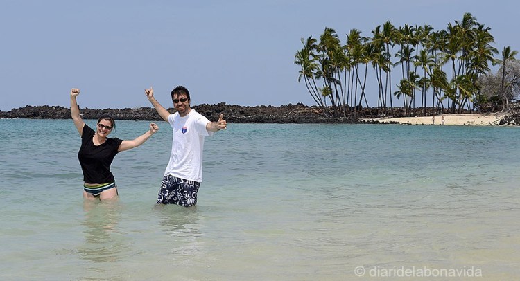 HAWAI_0562_DBV