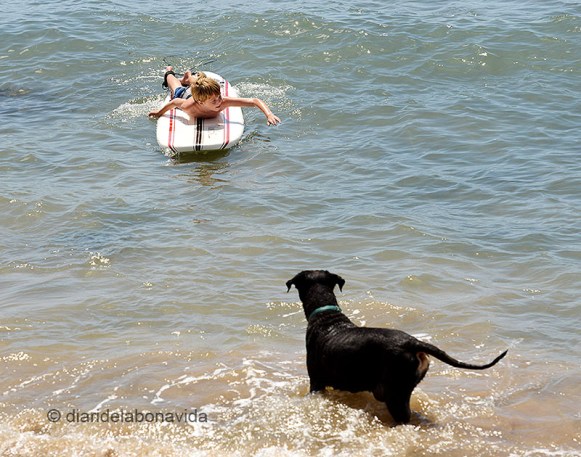 Grans, petits, animals... Tothom gaudeix del mar