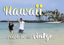hawaii diari posts bv 11