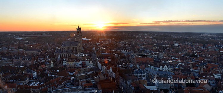 BELGICA_0307_02_DBV