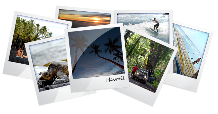 Clica per anar a la Galeria de fotos