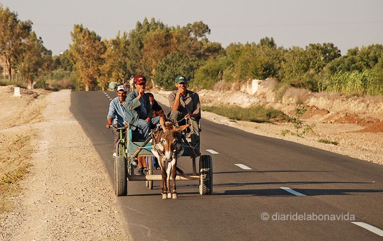 MARROC2008_06_19_19_11_18_DBV