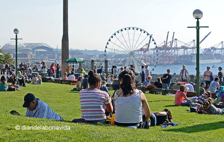 Quin ambient a Victor Steinbrueck Park