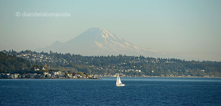 El Mount Rainier ens acompanya durant el trajecte