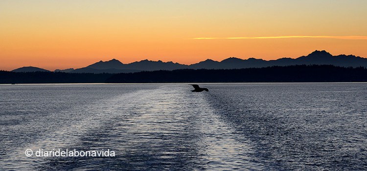 En ferri cap a Bainbridge Island
