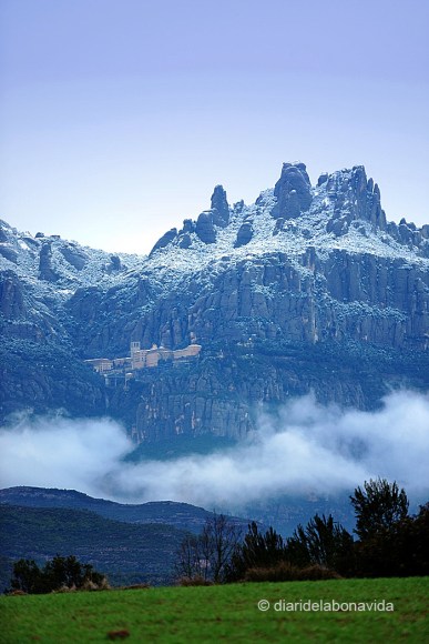 Distància focal: 195 mm. f/3.5; 1/500s; ISO 640; WB llum de dia