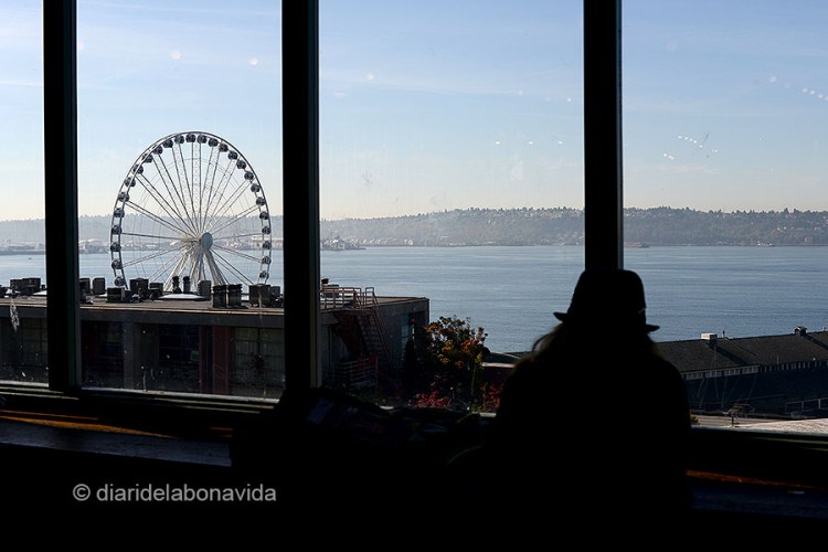 SEATTLE_0417_DBV