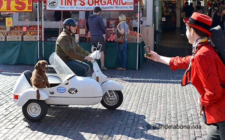 50mm; 1/320s; f/4.5; -0'3 EV; 100 ISO