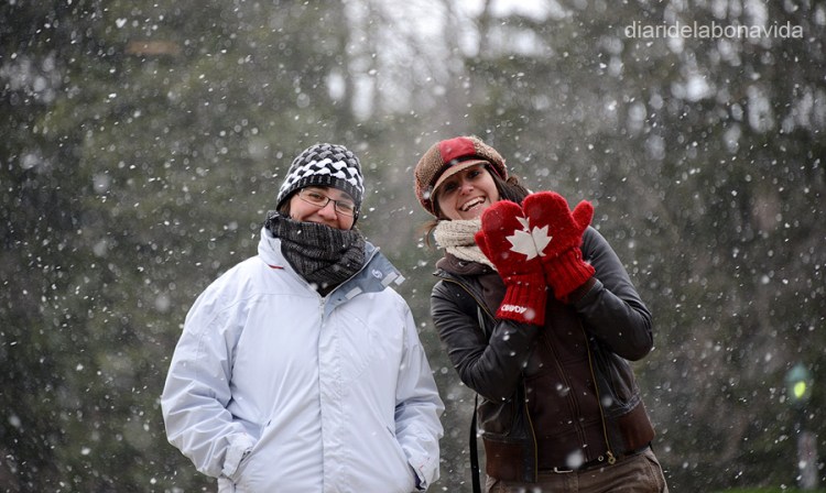 canada1095_niagara_neu