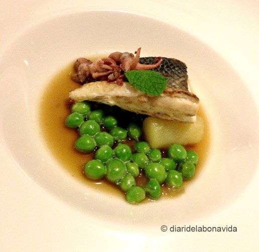 llobarro_montiel_DBV