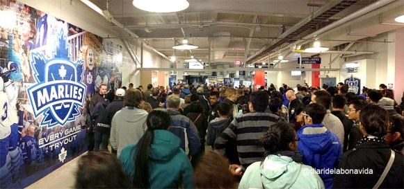 Accedint al Ricoh Colliseum