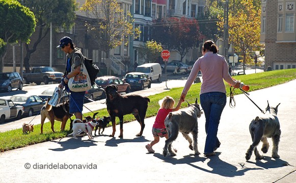 Aturar-nos una estona i observar al nostre voltant és clau per fotografiar la vida d'una ciutat. San Francisco