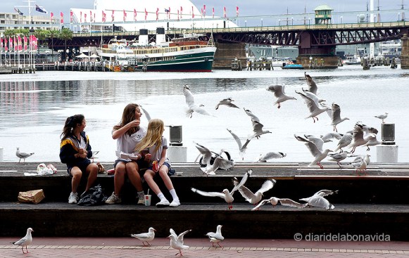 La suma de nens, gavines i menjar, ja ens produeix la imatge abans que aquesta passi. Sydney