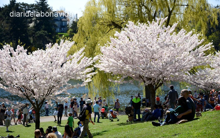 canada2695_highpark_toronto