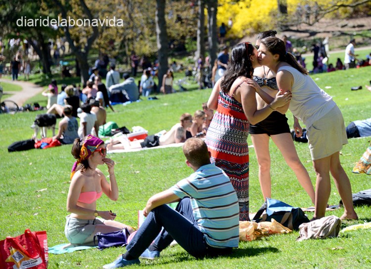 canada2713_highpark_toronto