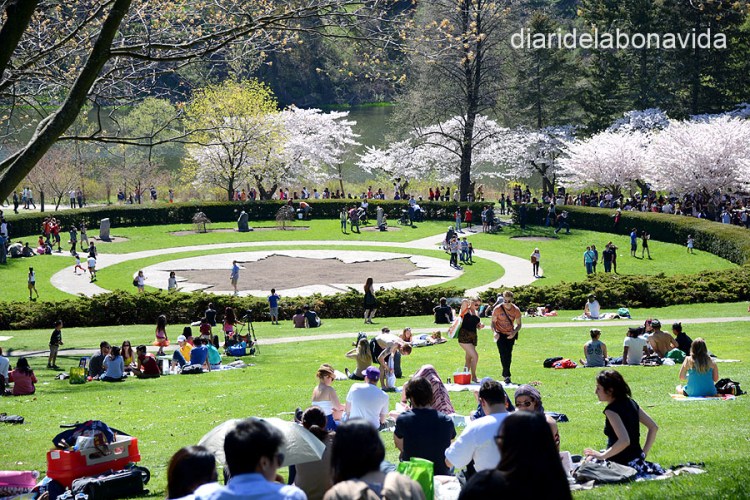 canada2723_highpark_toronto