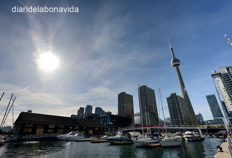 Des del Harbourfront també tenim una bona imatge de la torre