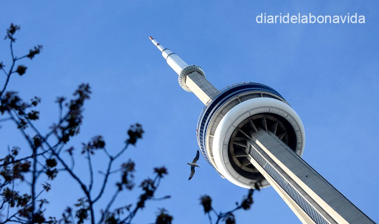 Quan ens apropem encara impressiona més