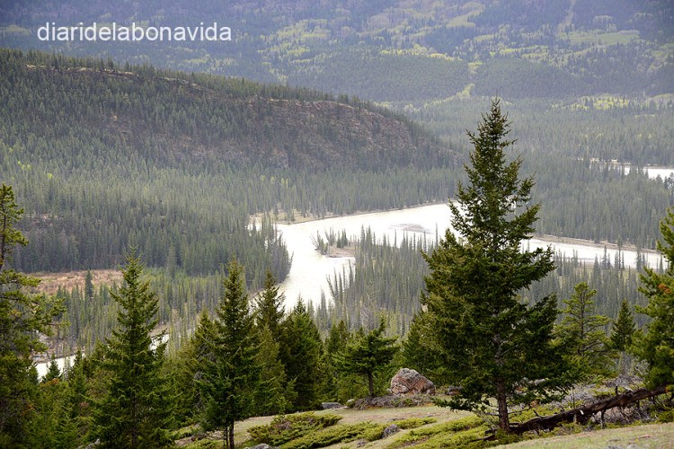 canada3864_jasper_park