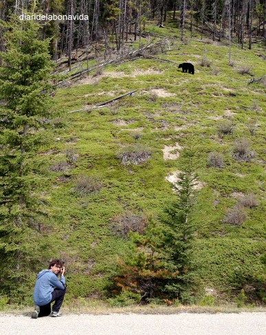 Prometem no sortir mai més del cotxe...