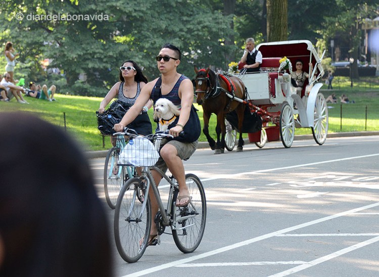 newyork0365_central park