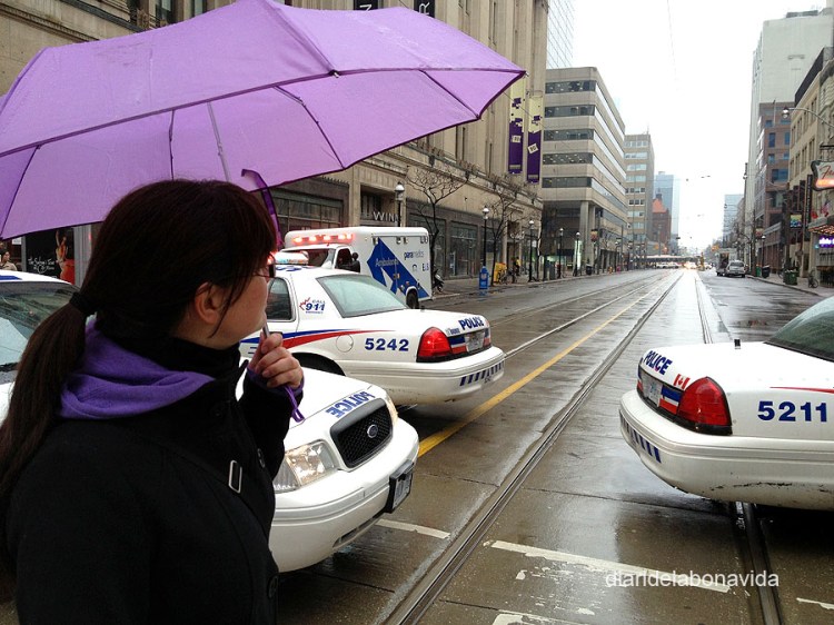 No podem evitar ser una mica tafaners...