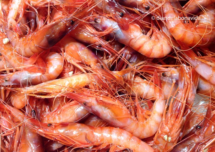 Un bon grapadet i cap a la paella