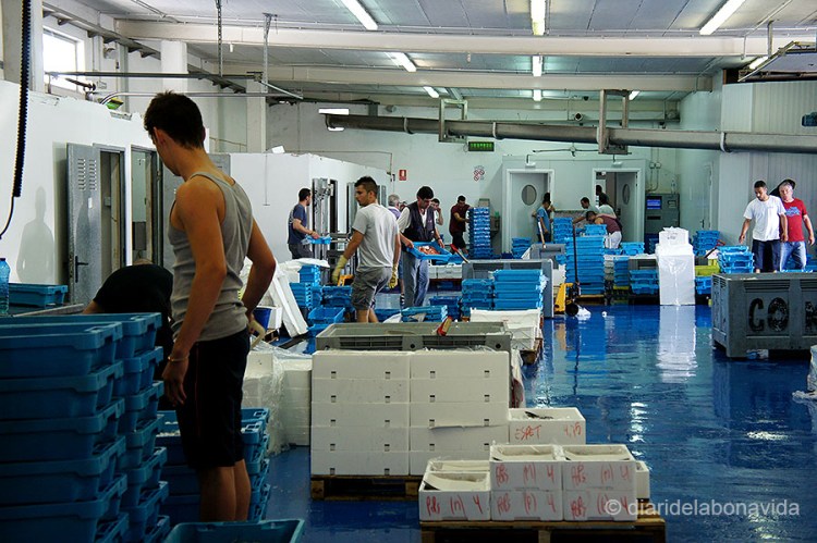 Moments abans d'iniciar-se la subhasta