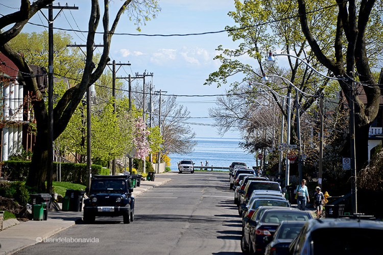 Els carrers que baixen de Queen St cap a la platja (com Wineva Avenue) ja ens mostren el que trobarem