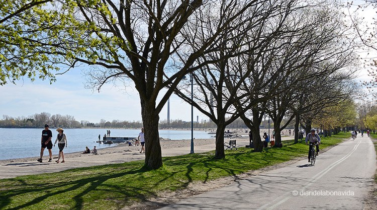 El passeig Martin Goodman Trail és molt transitat