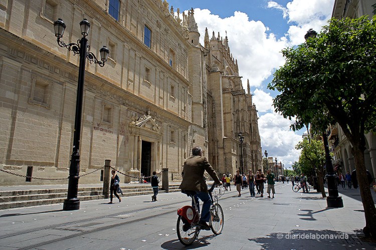 La Catedral es troba a l'Avenida Constitución, en ple centre