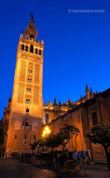 sevilla_catedral_03