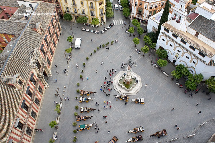 sevilla_catedral_12