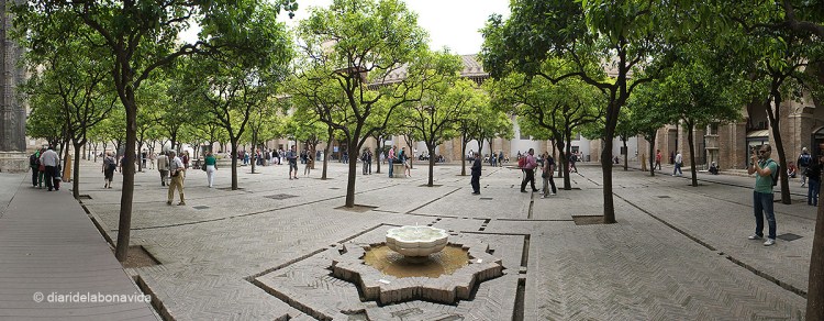 Patio de los Naranjos